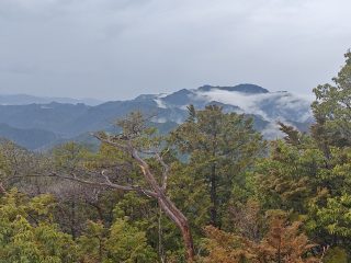 The best natural park hiking routs and rainforests in the world