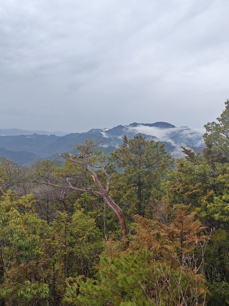 The best natural park hiking routs and rainforests in the world