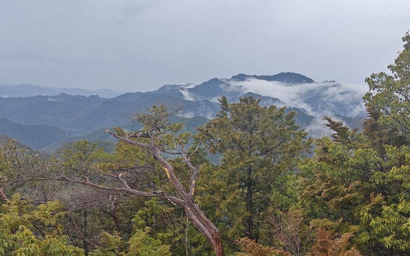 The best natural park hiking routs and rainforests in the world