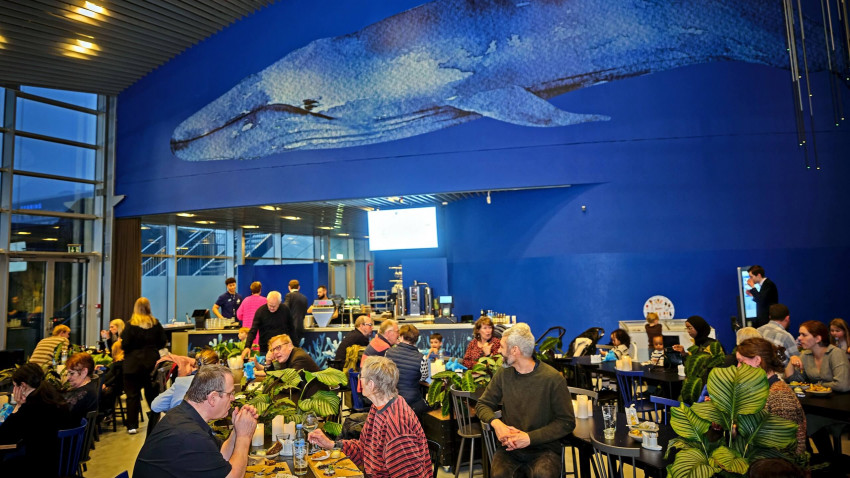 Blue Planet Café