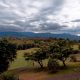 Bosque Eterno De Los Ninos mountains retreats Costa Rica