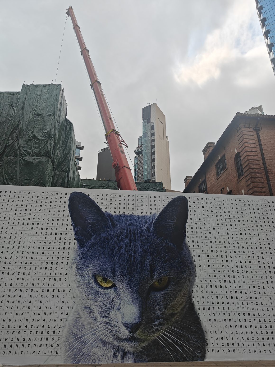 Hong Kong City Vibes