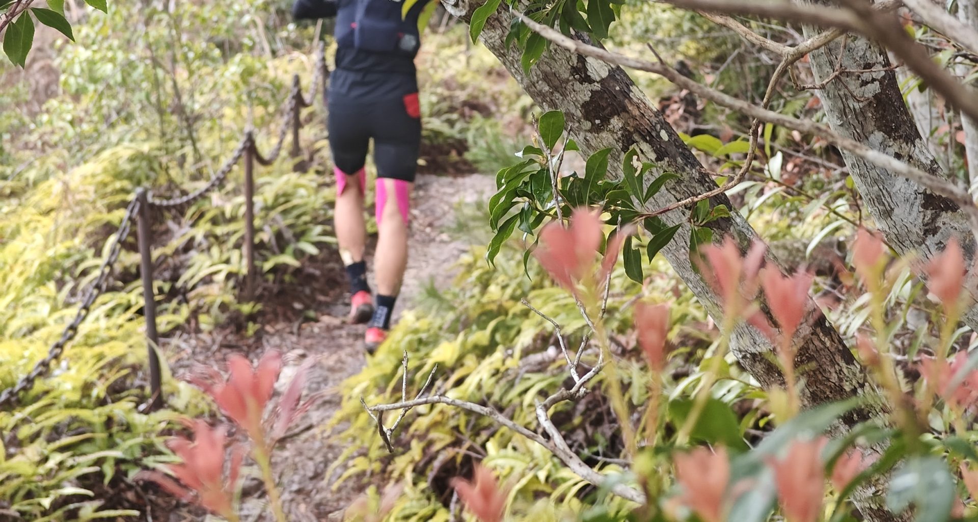 Hiking-natural-parks-world