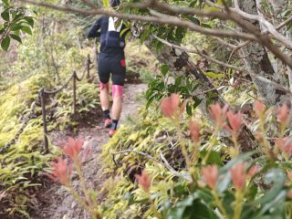 Hiking-natural-parks-world