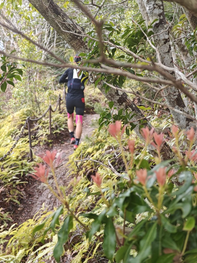 Hiking-natural-parks-world