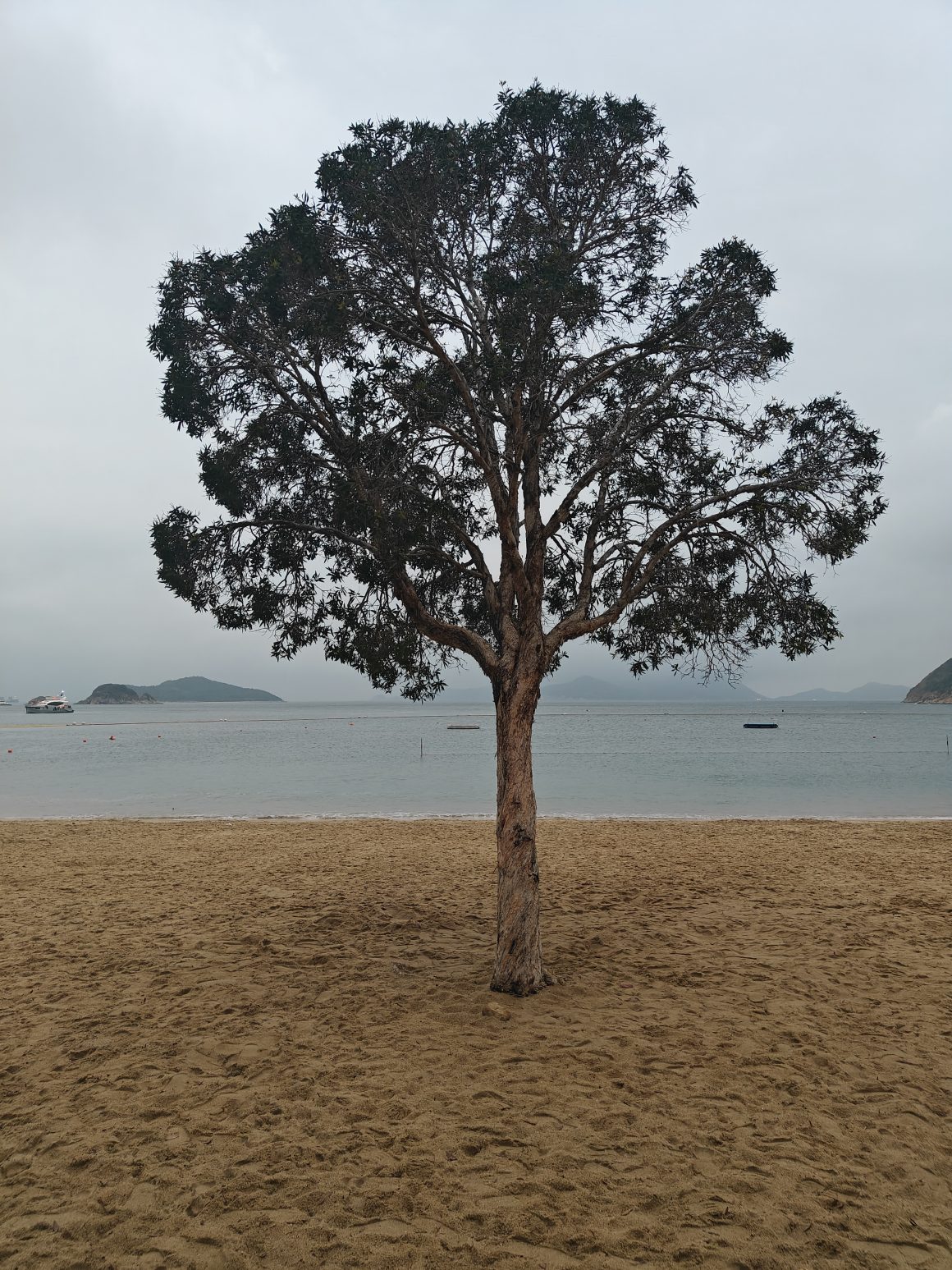 Hong Kong Visit Guide