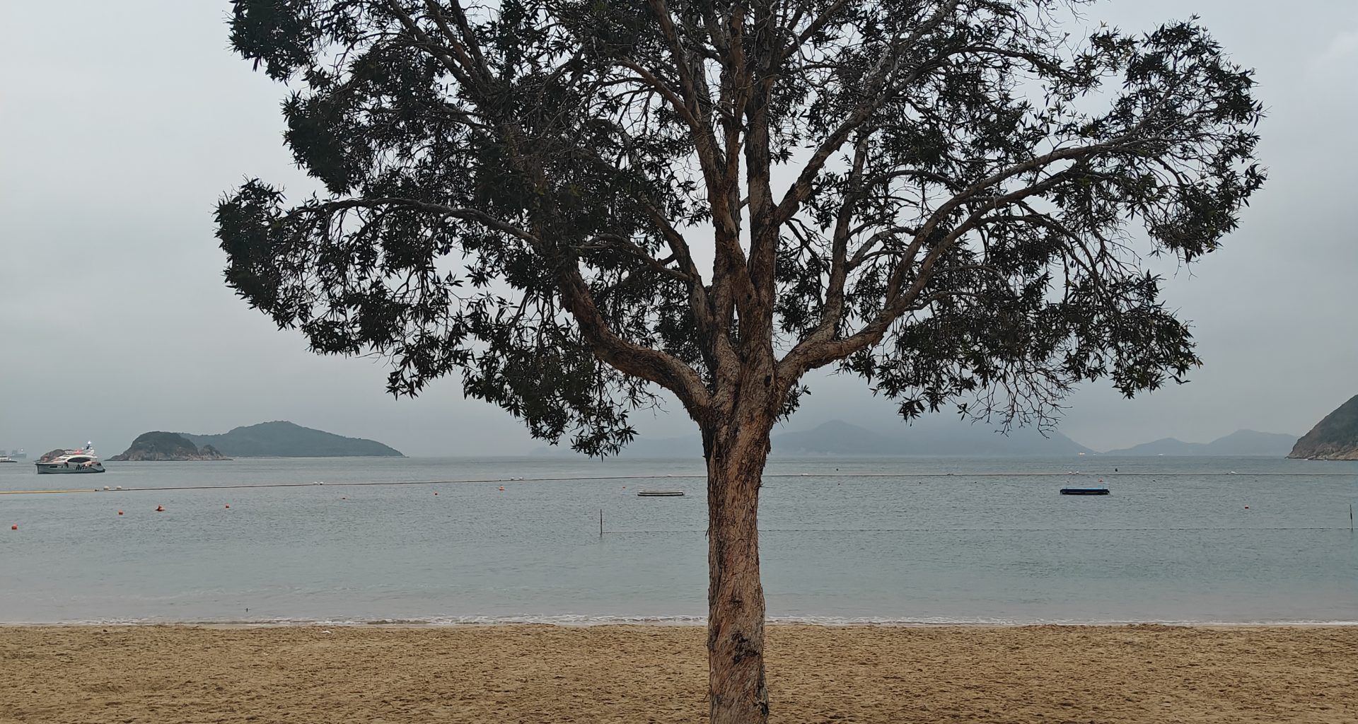 Hong Kong Visit Guide