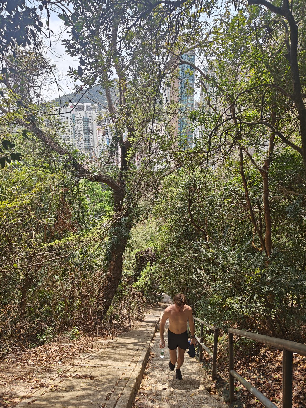 Lung Fu Shan Nature Hiking Trail in Hong Kong - by LocalsInsider.com