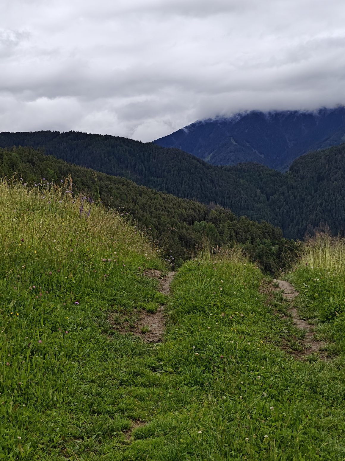 My-Arbor-Plose-Wellness-Hotel-Hiking