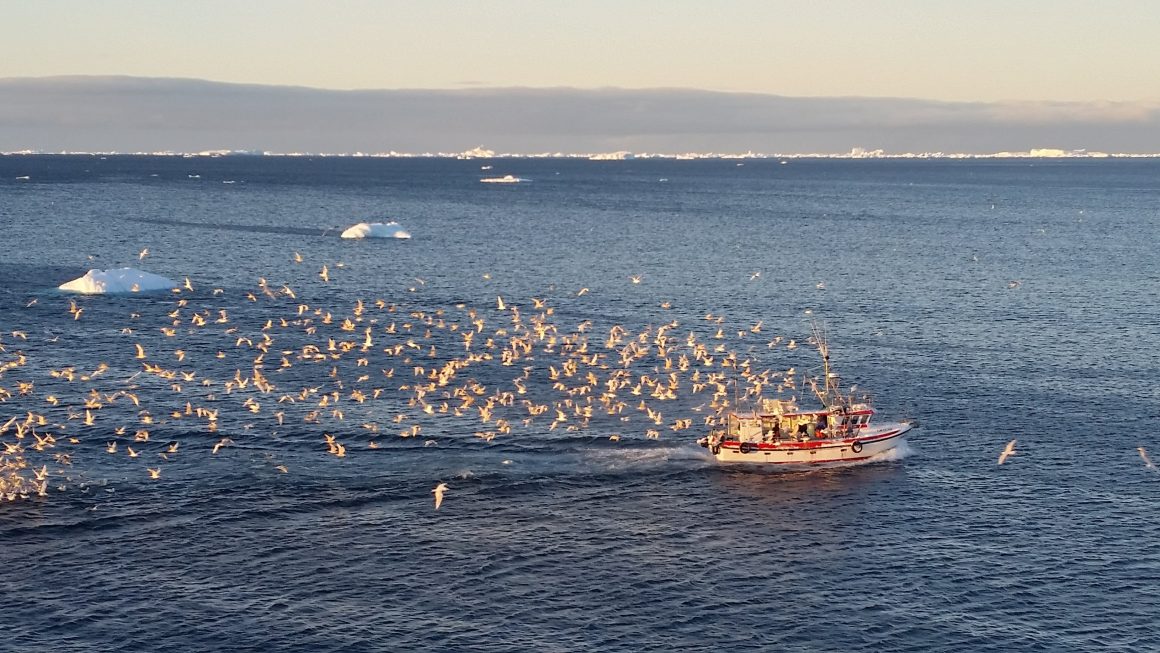 Nuuk Greenland
