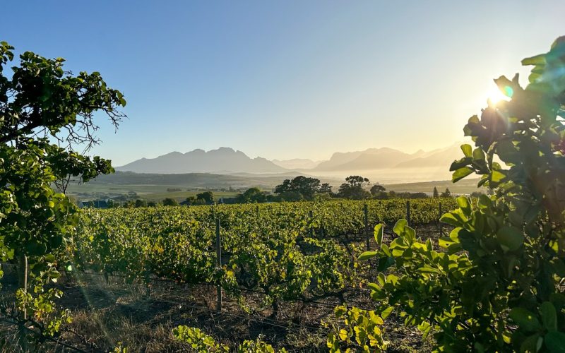 Top 5 underrated chateaux in Europe and Africa