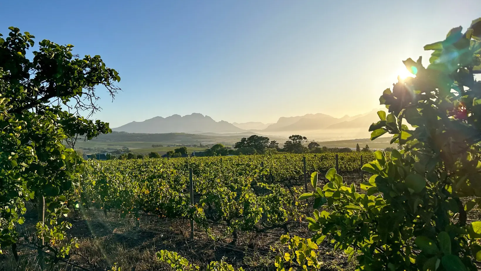 趣味・スポーツ・実用 The Wine Atlas FRANCE & travelers guide The Wine Atlas of France: And Traveller's Guide to the Vineyards