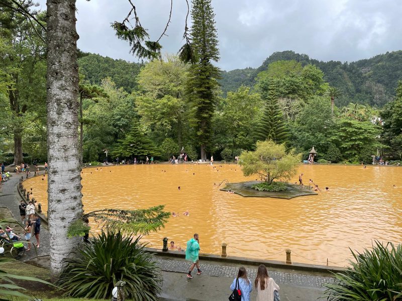 moinhos terra nostra