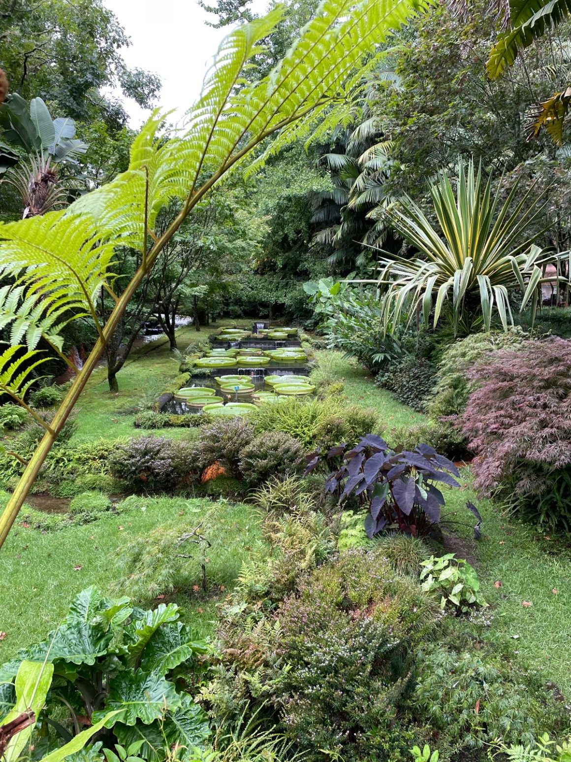 São Miguel Portugal