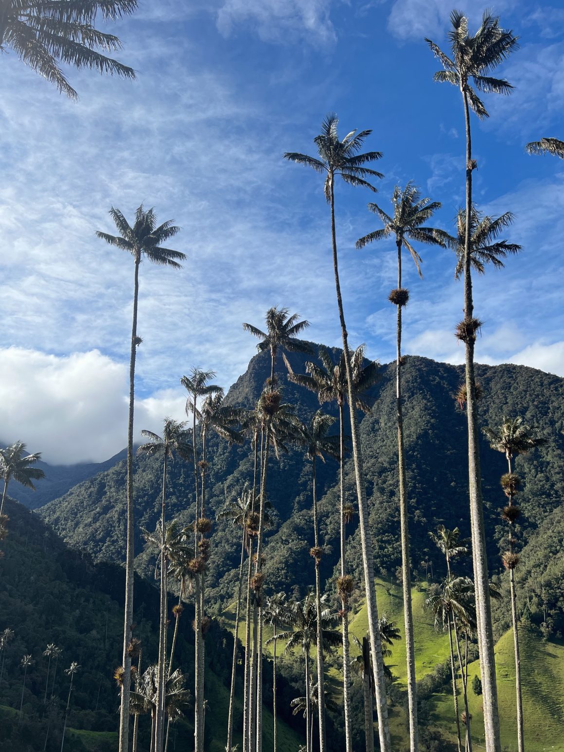 travel to Colombia