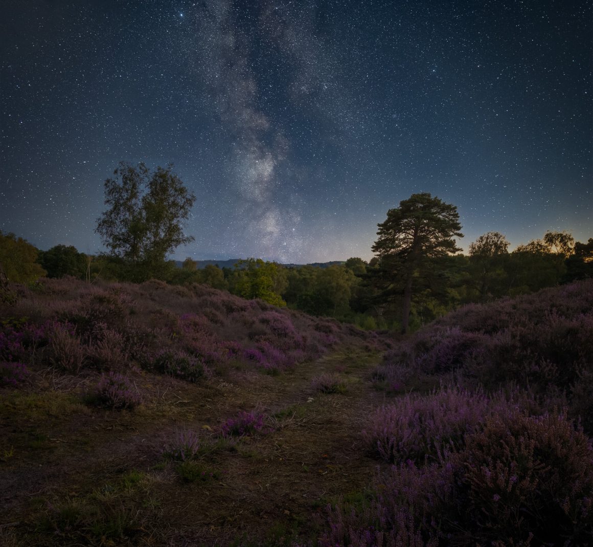 The South Downs National Park
