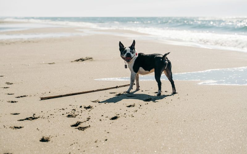 Best Beaches Near Rome