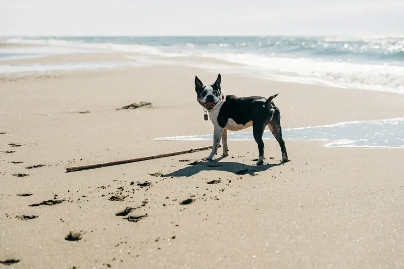 Best Beaches Near Rome