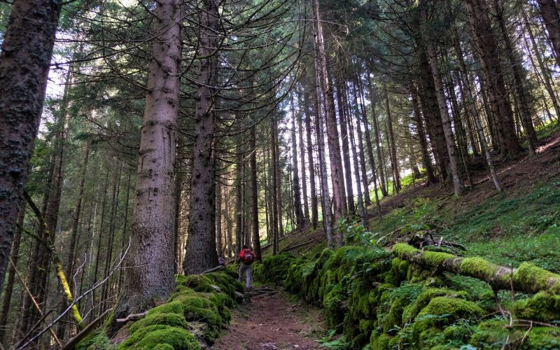 Italy’s Best Natural Parks