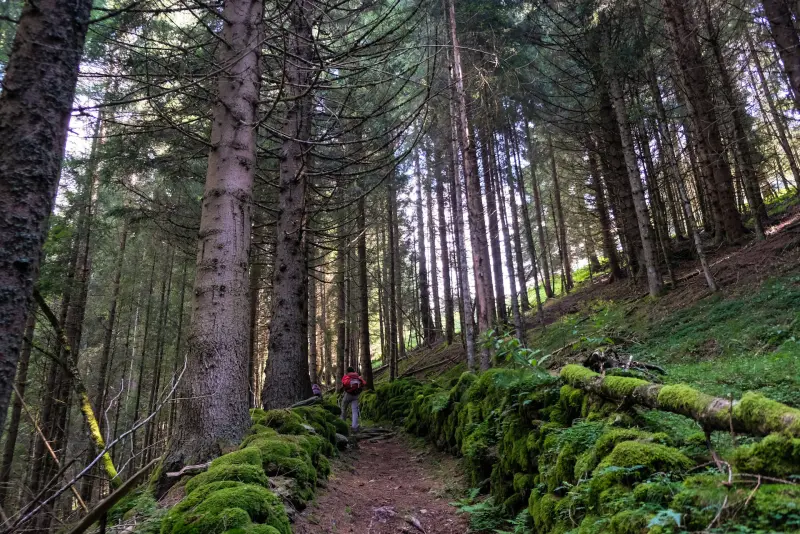 Italy’s Best Natural Parks