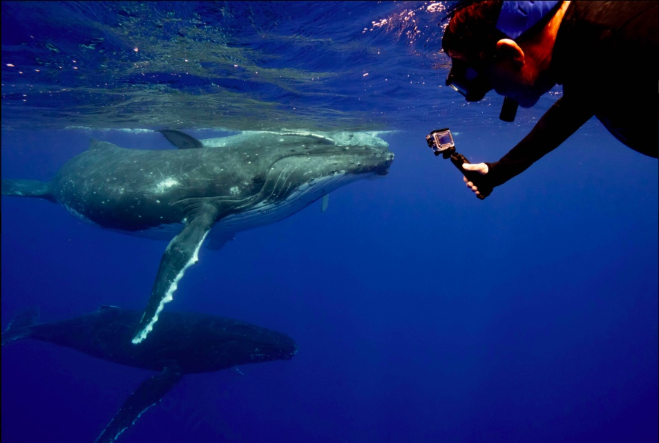 Luksusowe wyprawy fotograficzne