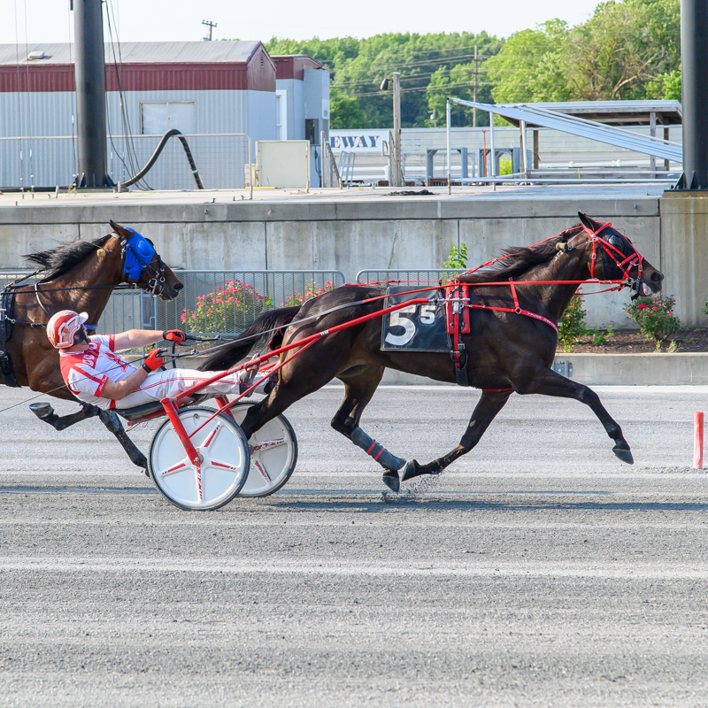 Harrington Raceway Casino