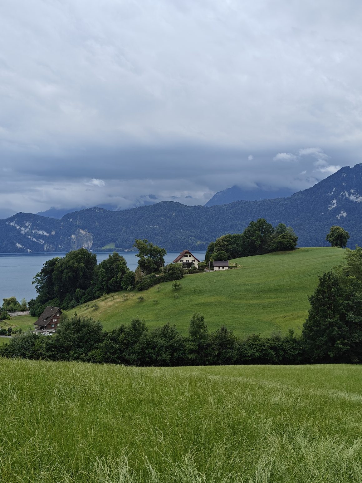 Green-hills-and-Lake-Lucerne-view-near-Chenot-Palace-Weggis