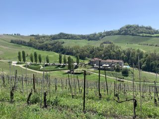 Italy’s Most Stunning Vineyard Hotels and Wine Resorts