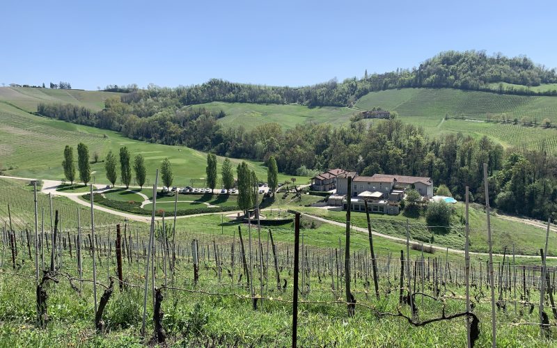 Italy’s Most Stunning Vineyard Hotels and Wine Resorts