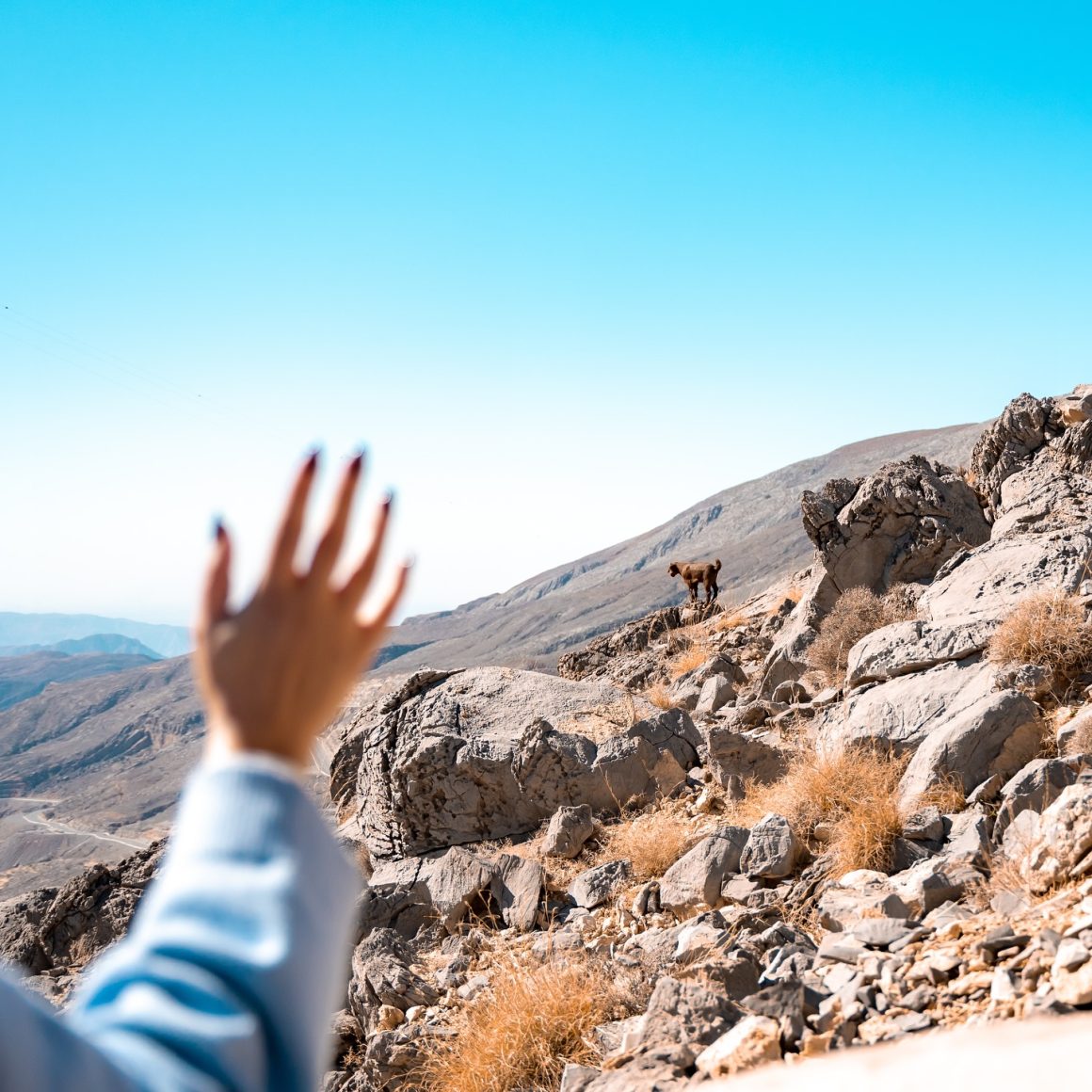 Jebel Jais — прогулка в горах с фантастическими видами