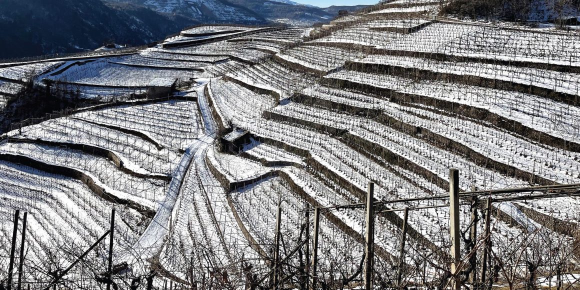 Tenuta Gottardi