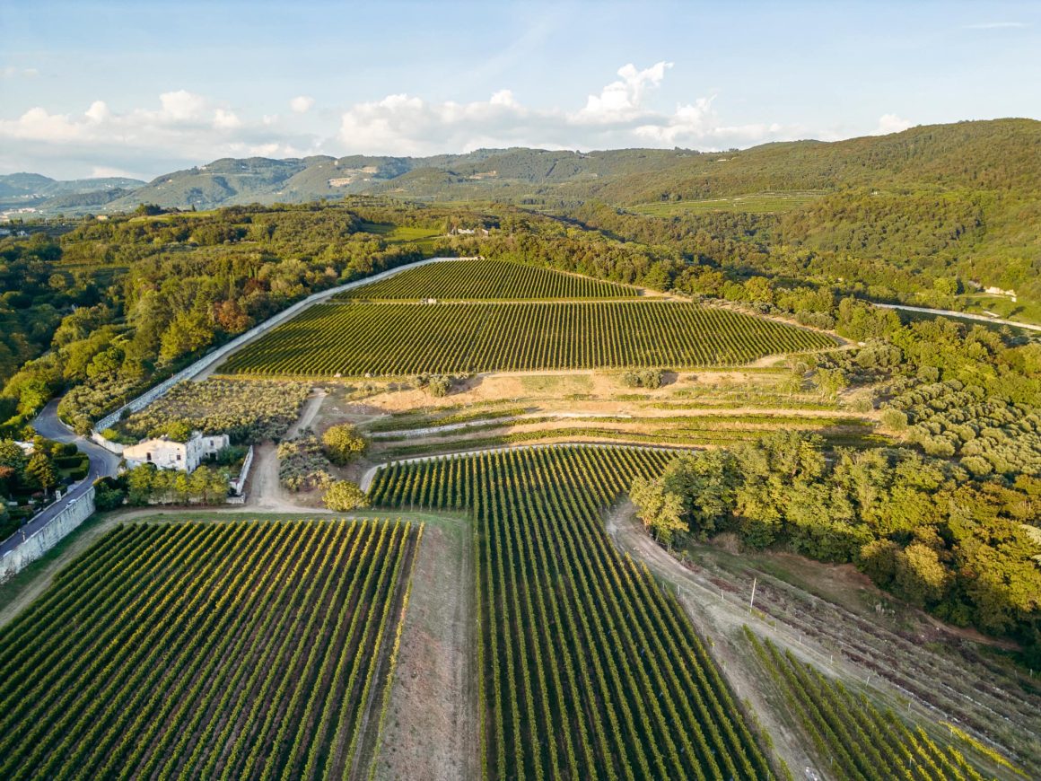 Tenuta Santa Maria di Gaetano Bertani