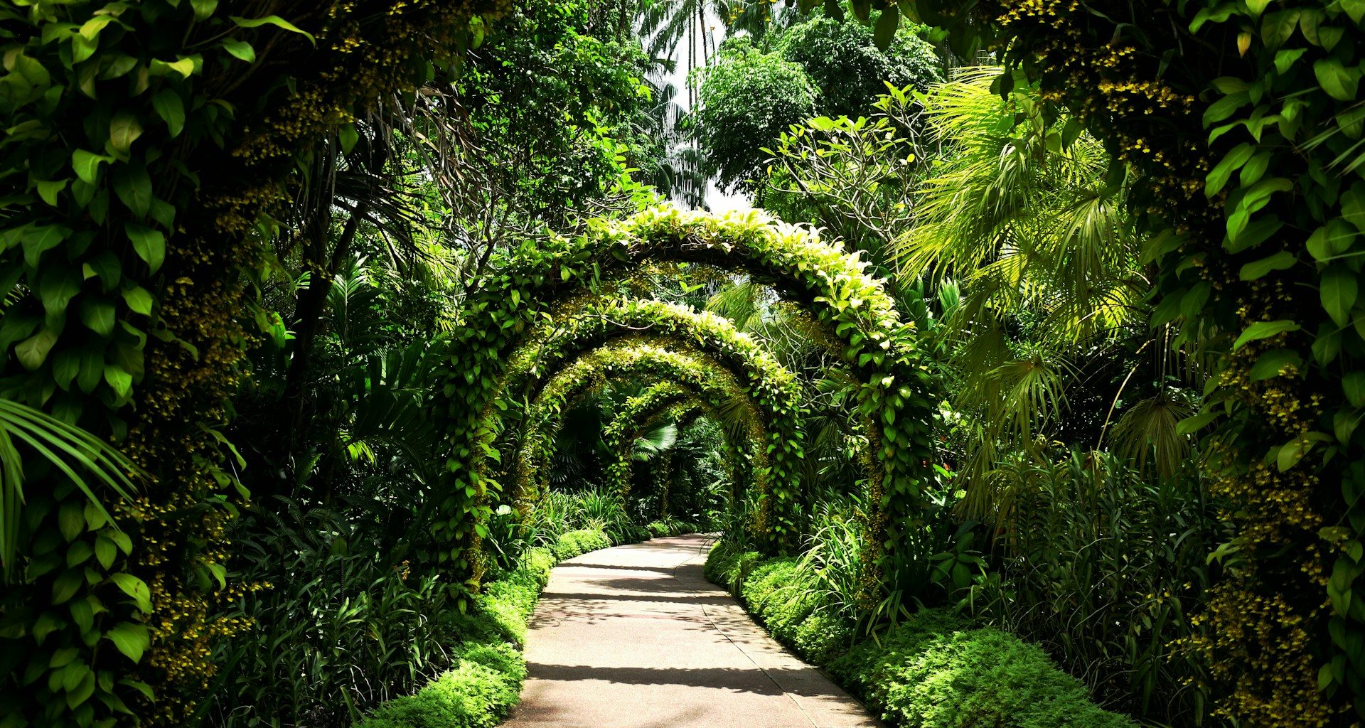 Singapore Botanic Gardens landscapes