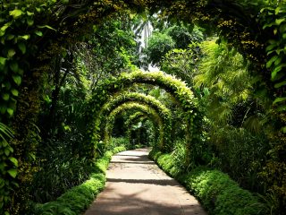 Best Botanical Gardens in the World