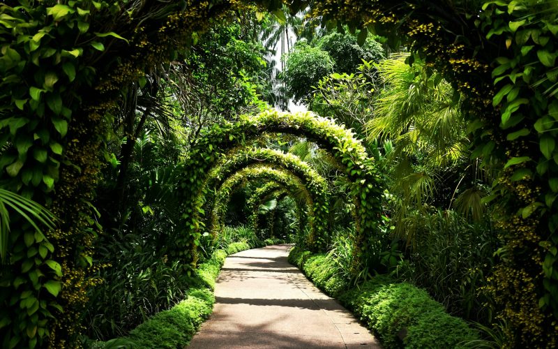 Best Botanical Gardens in the World