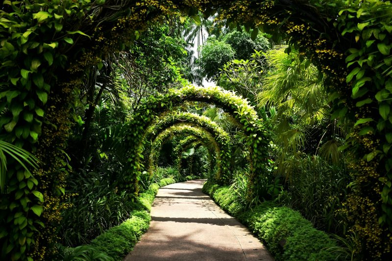 Best Botanical Gardens in the World
