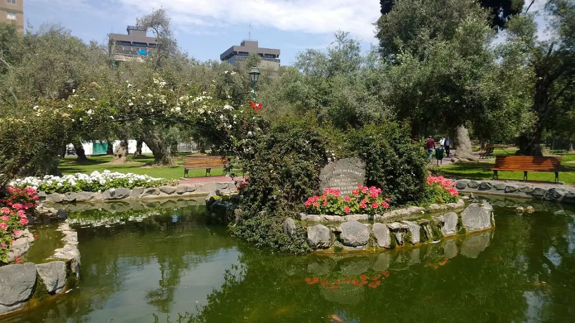 Bosque El Olivar