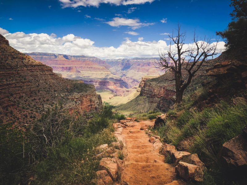 Most Scenic Day Hikes in U.S. National Parks
