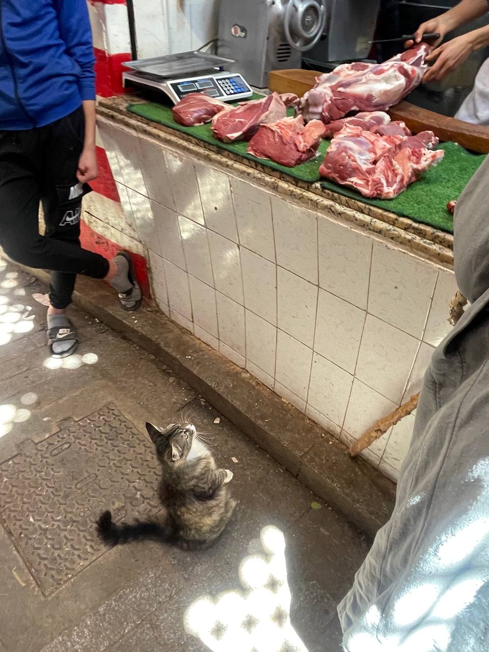 Fez bazaar