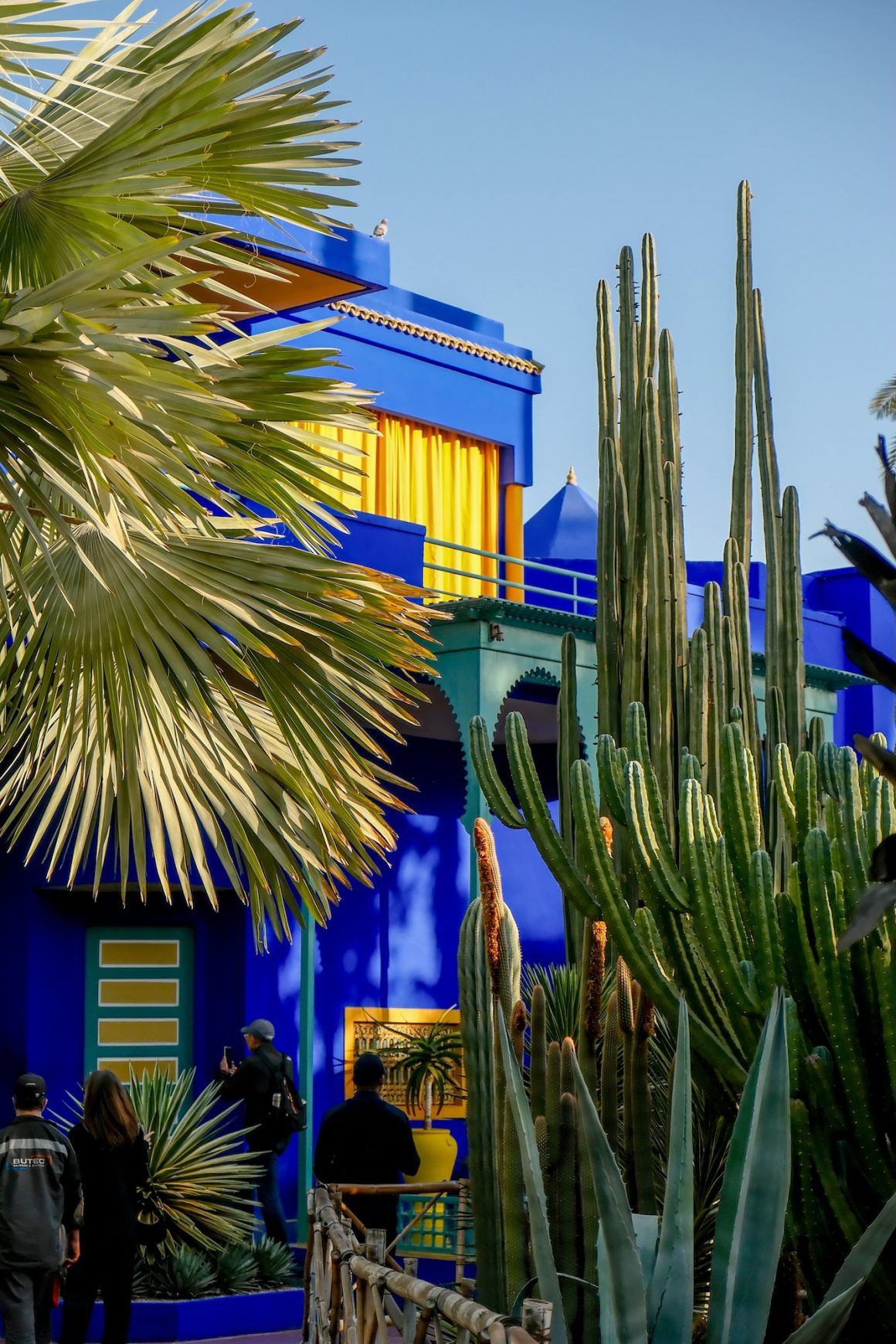 Jardin Majorelle - Marrakech, Morocco
