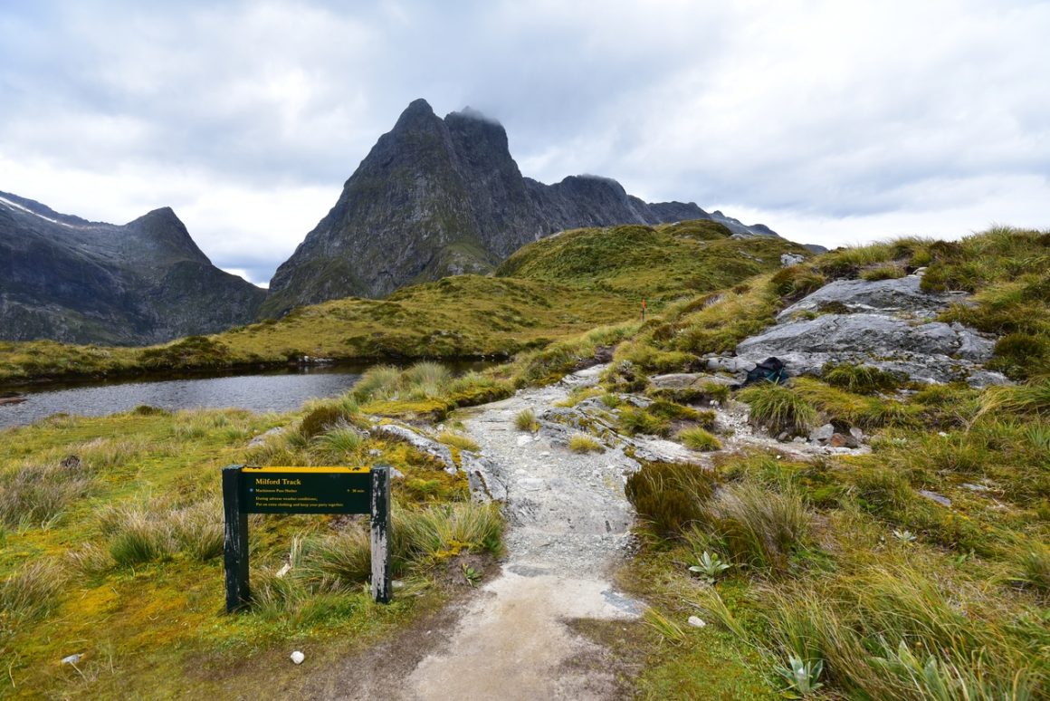 Milford track MacKinnon Pass, New Zealand