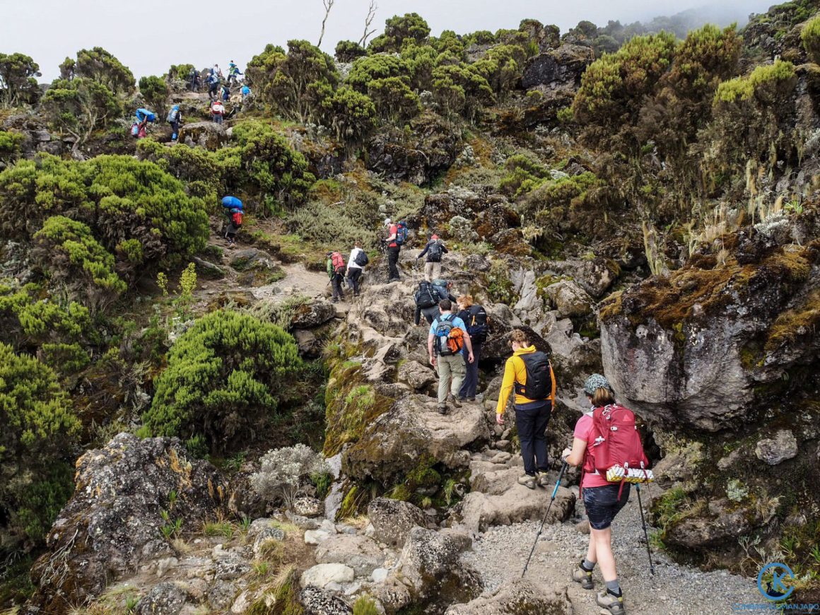 Mount Kilimanjaro