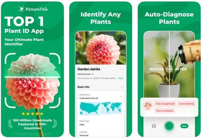 Picture this plant id hiking app