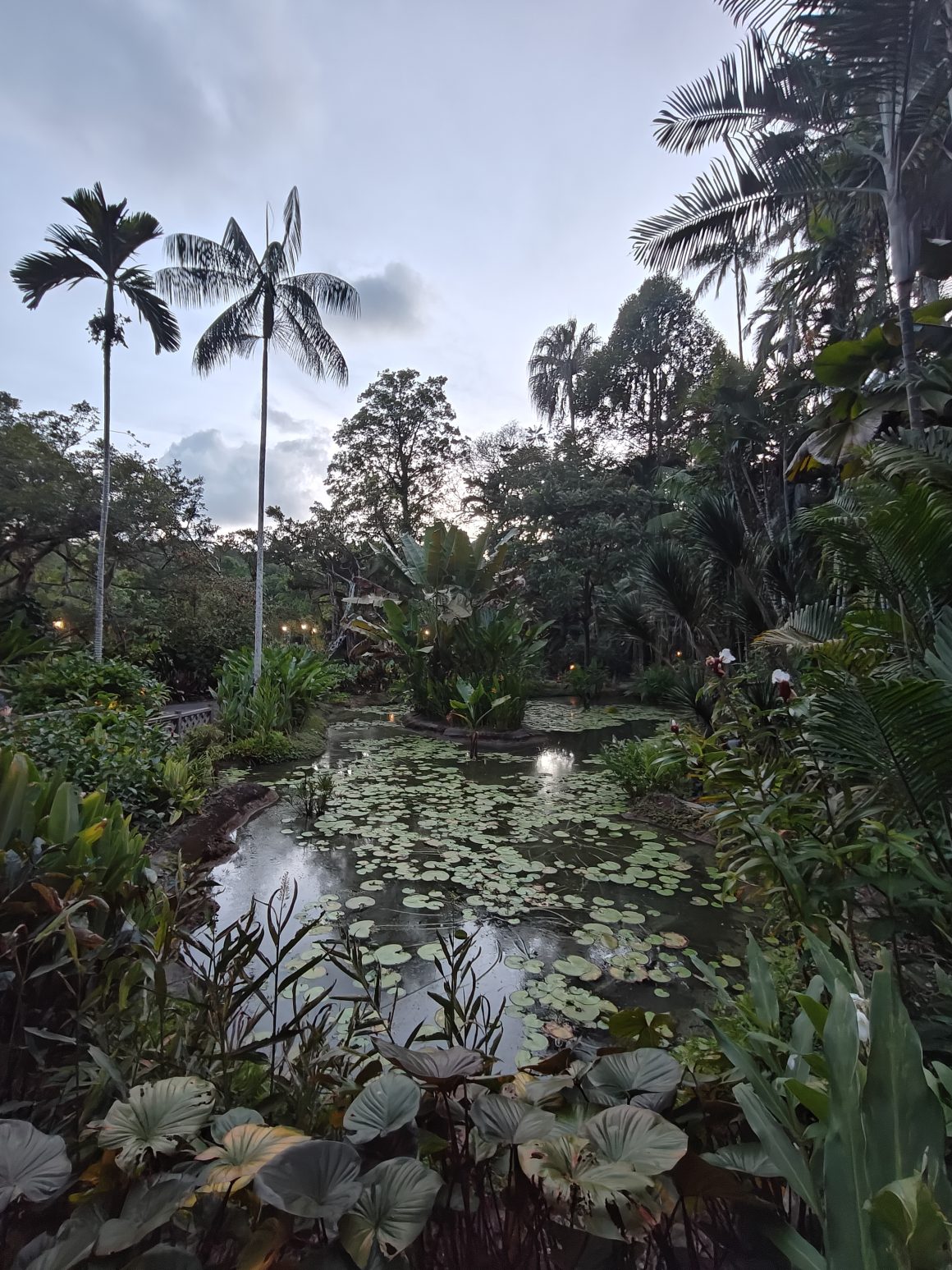 Singapore Botanic Gardens