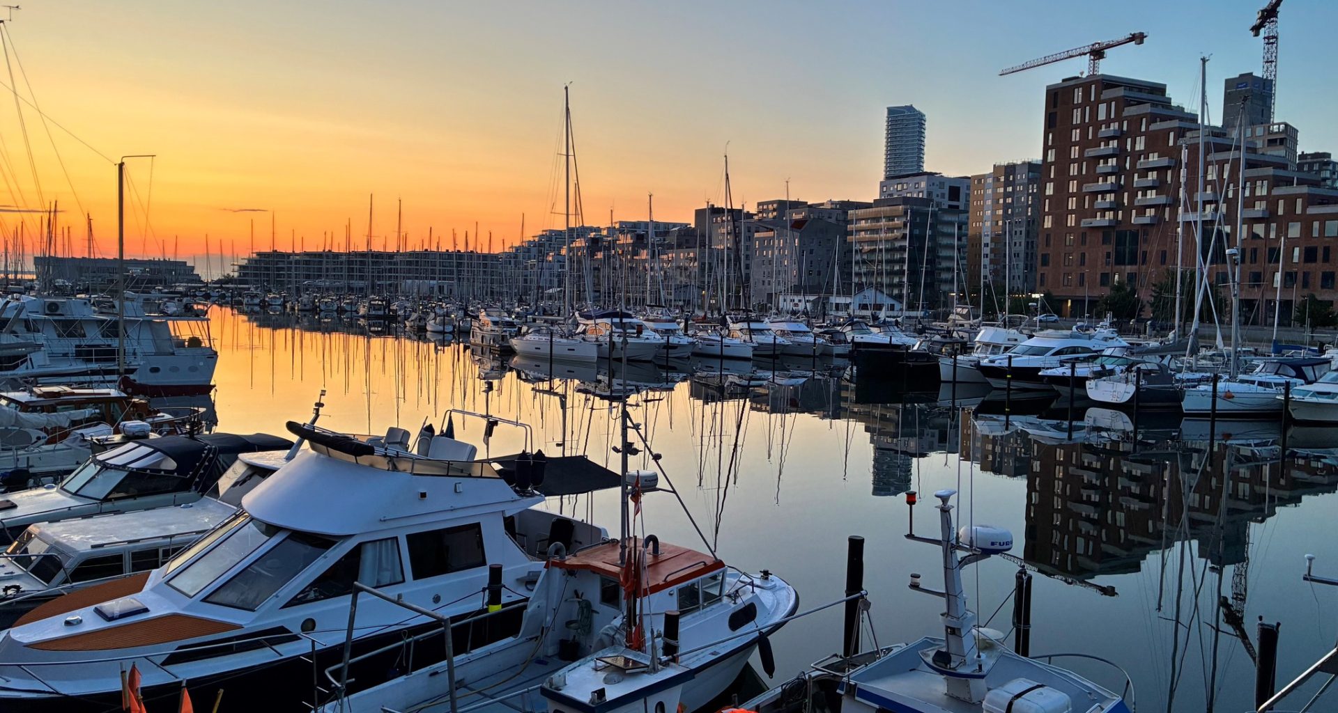 Best places to eat fish in Aarhus