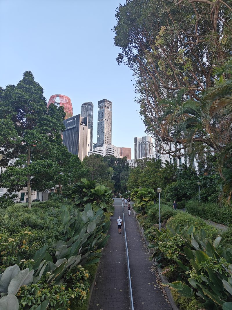 Singapore what to do guide
