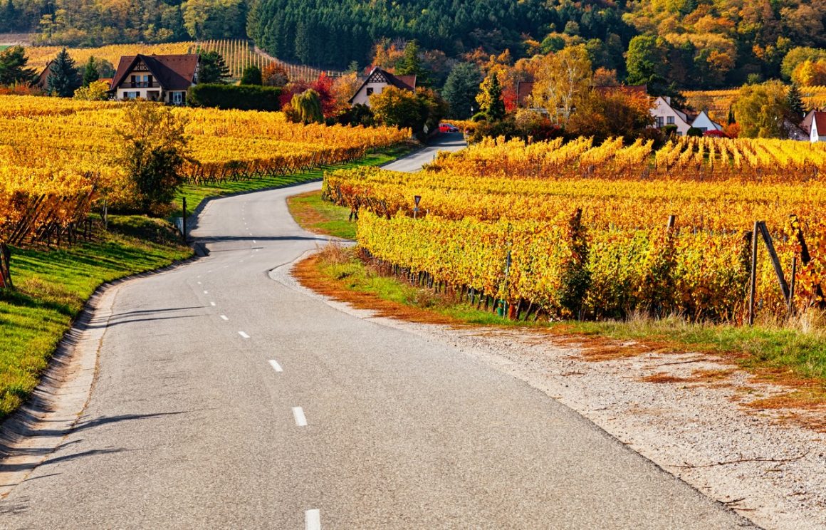 Alsace Wine Route