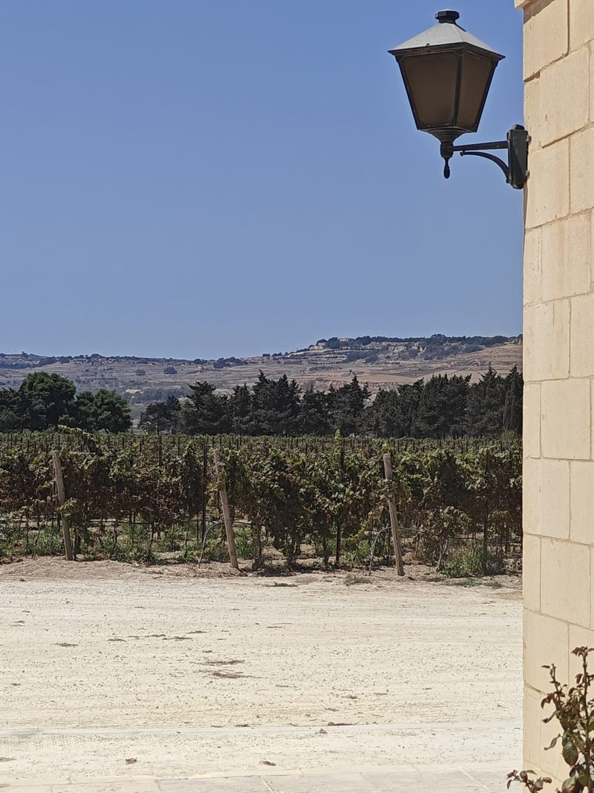 Meridiana Wine Estate Malta