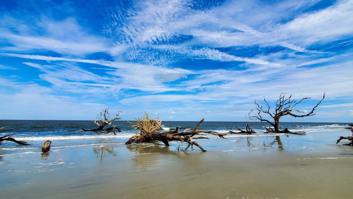Driftwood Beach, Jekyll Island, Georgia