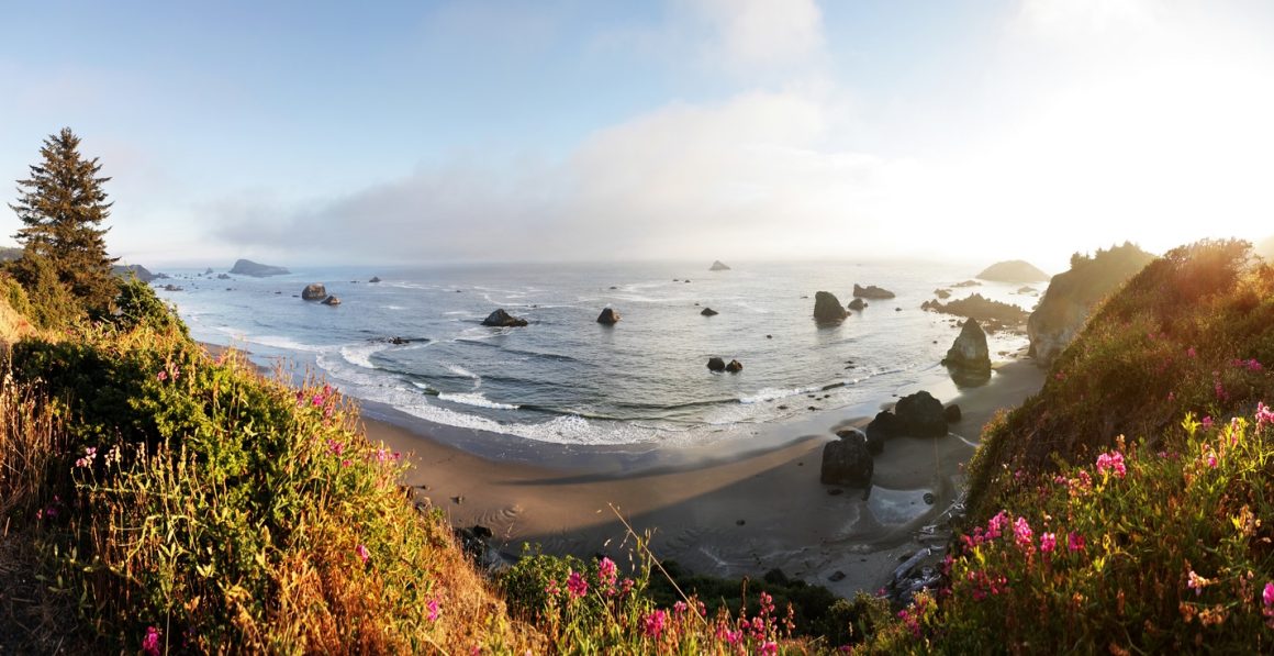 Harris Beach State Park, Oregon 